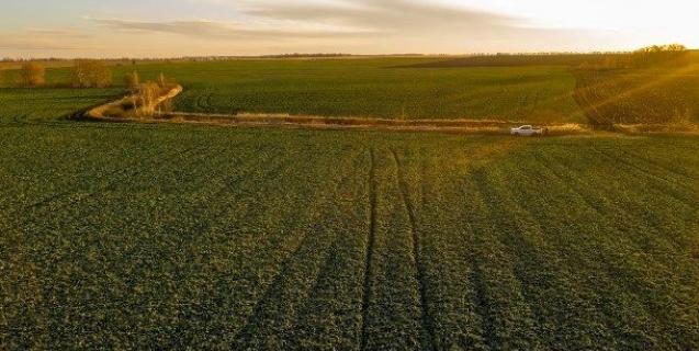 




Громади можуть самостійно оцифровувати матеріали фонду землеустрою і залишати собі електронні копії


