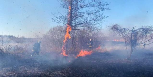 




За останні дві доби в області сталося 37 пожеж сухої рослинності 


