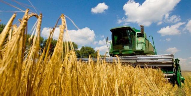 




Пільгові кредити для аграріїв пролонгували на пів року



