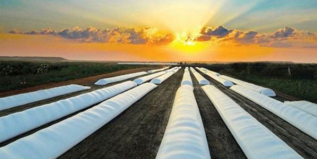 




80% рукавів для тимчасового зберігання зерна цьогоріч передали підприємцям Черкащини


